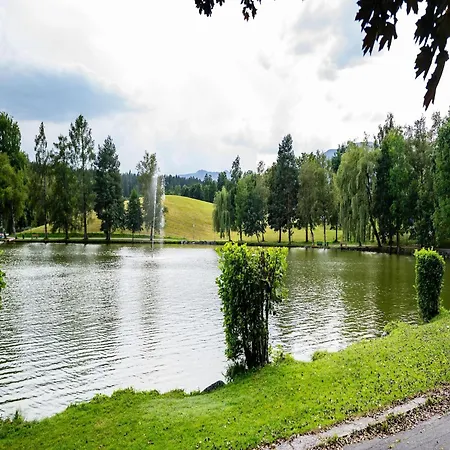 Double Near Ritzensee River * Зальфельден